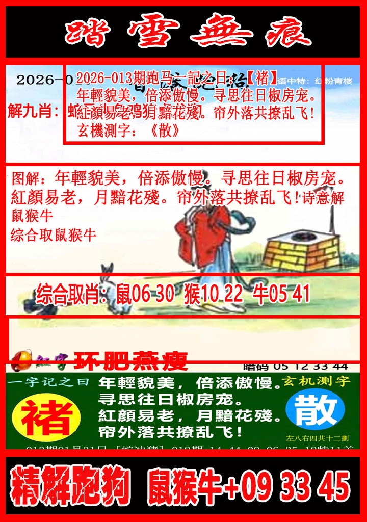 013期踏雪无痕解跑狗[图]